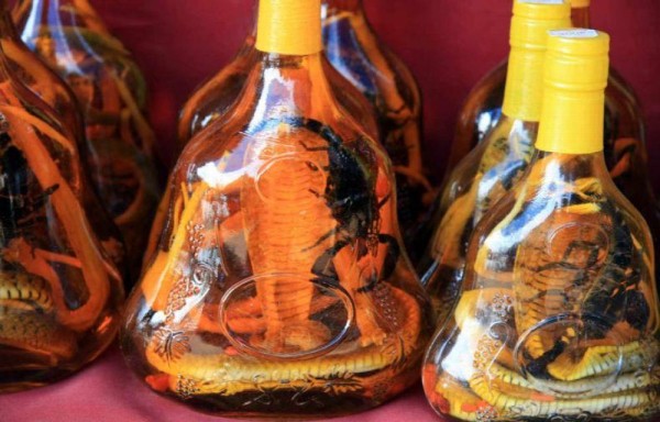 Como lo es el caso del vino de vívora.