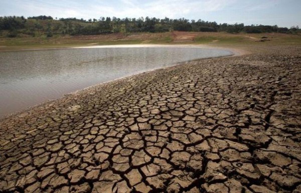 Peor crisis eléctrica en 40 años.