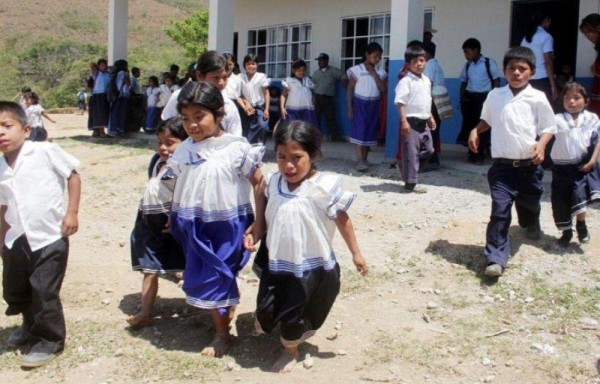 Reforzarán los estudios.