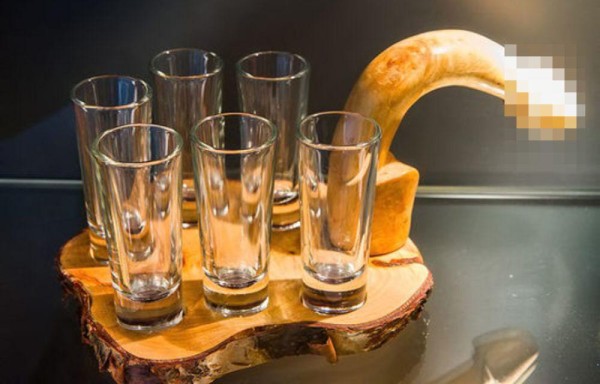 En total, este museo, que abrió en agosto de 1997, tiene 210 especímenes pertenientes a 46 tipos distintos de mamíferos.