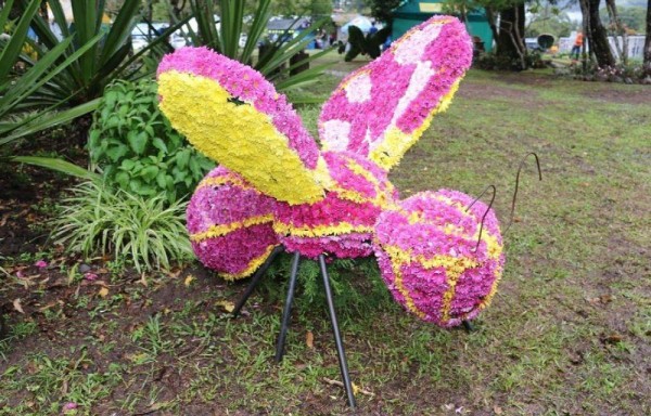 La naturaleza de Volcán encanta a visitantes