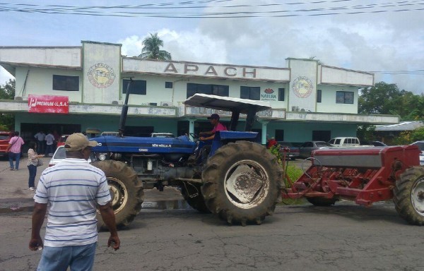 La mala racha del sector arrocero en la provincia se ha agudizado, la asociación peligra.