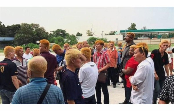 Brinda banquete gratuito a mil ‘fulos'