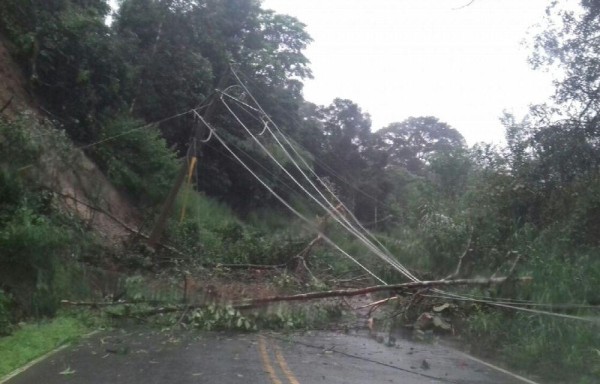 Las lluvias y los fuertes vientos generaron caídas de árboles y parte del tendido eléctrico en la vía que comunica a Volcán con Río Sereno.