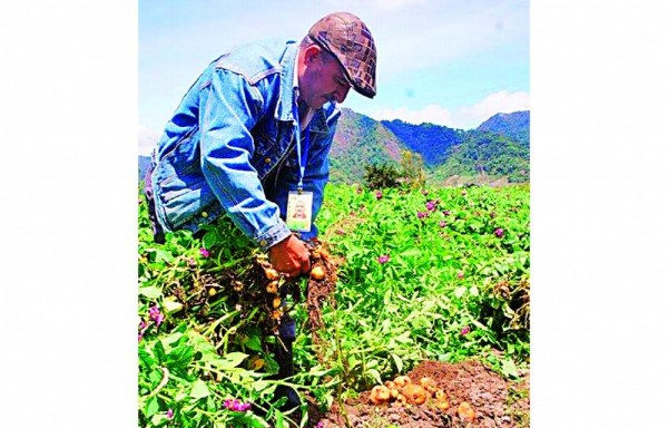 Se busca mejorar los cultivos.