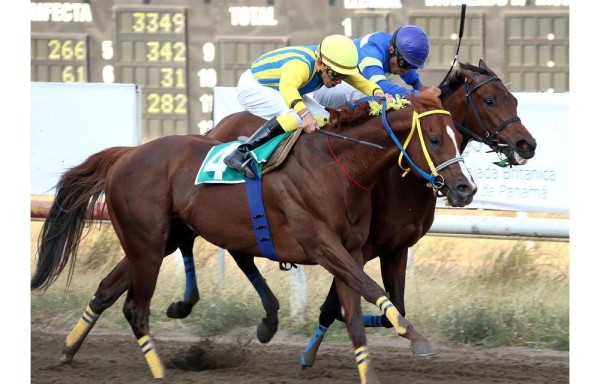 El ganador llegando a la meta con la monta de Luis Arango.