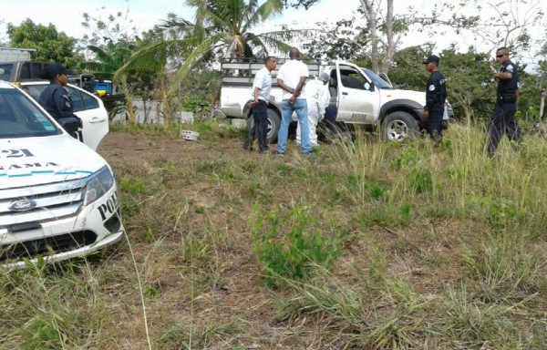 los 63 paquetes fueron abandonados.