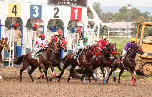 El HipoRemón presentó nueve balanceados eventos.