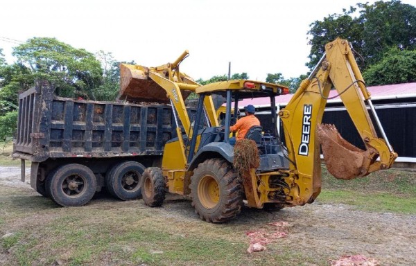 Retiraron las aves muertas.