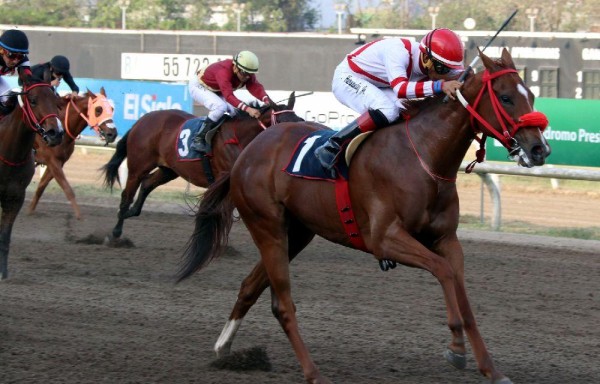 ‘La Polla' retará a los machos en la primera gema de la triple.