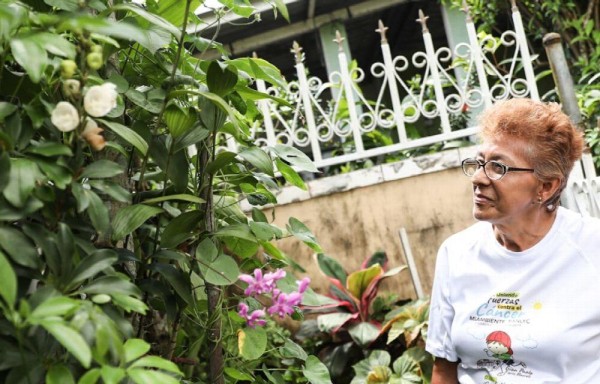 La flor del Espíritu Santo engalana nuestros jardines