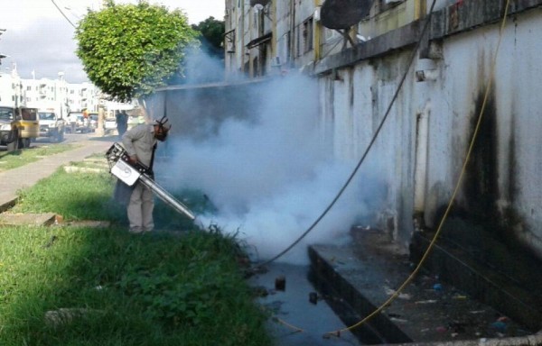 Fumigaron áreas con aguas estancadas.