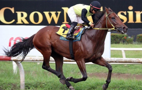 ‘Si Señor' pupilo del Fair Grounds Stable con Félix Salgado busca su primera victoria clásica.