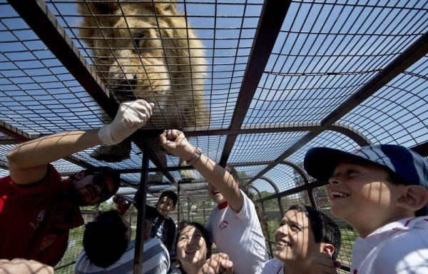 Visitante les dan comida