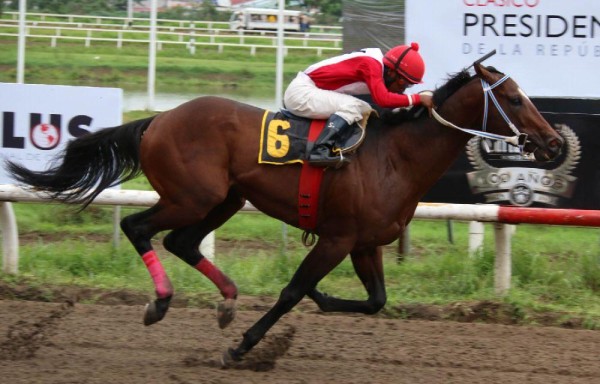 ‘Perpetrador' busca su segunda victoria en Panamá.