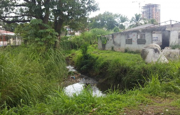 Herbazal se traga parque comunitario