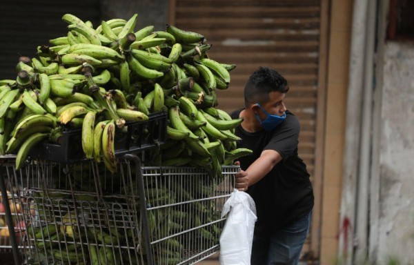 Ventas de plátanos verdes.