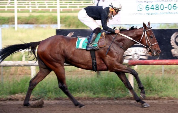 El ganador, llegando a la meta con trabajo de Luis Arango.