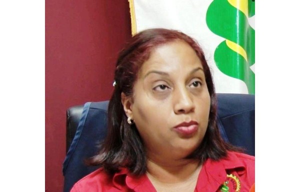 ‘Los fármacos nunca pudieron ser distribuidos en la comarca por la falta de vehículos' Iliana Santamaría REGIONAL DEL MINSA