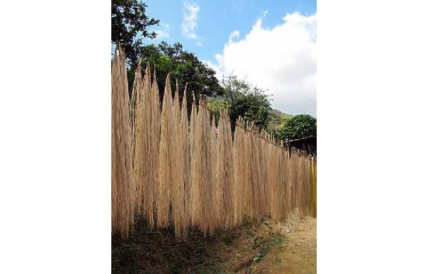 Unesco declara patrimonio inmaterial la confección del sombrero pintao panameño