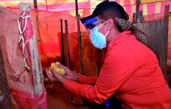 Mides les da el capital semilla.