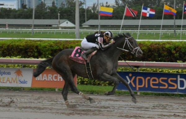 ‘Coltimus Prime' con Irad Ortíz Jr., dominó la Copa Invitacional de Importados.
