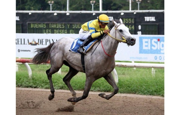 ‘Calínico' está a un triunfo de convertirse en el XV triplecoronado de la historia.