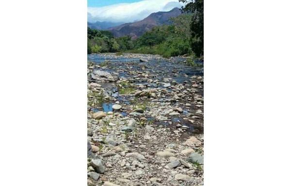 El caudaloso río Chico se debilita, hay temor en Natá y Aguadulce porque podrían quedar sin agua potable.