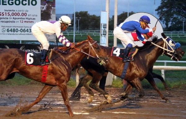 ‘Dynamo' será guiado por Ricardo Santana Jr., en el Clásico Internacional del Caribe.