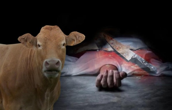 Yuni vendió una vaca, se fue de chupata y lo mataron a filo