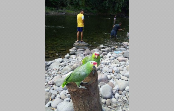 El río Gariché los espera