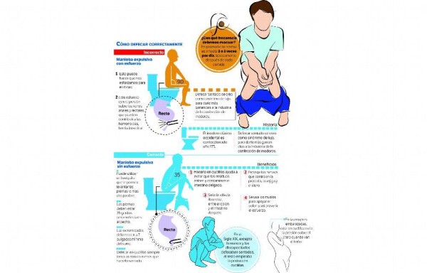 Evacuar: en cuclillas o sentado