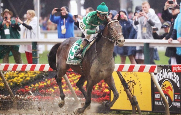 ‘Exagerator' ganador del Preakness Stakes en 2016.