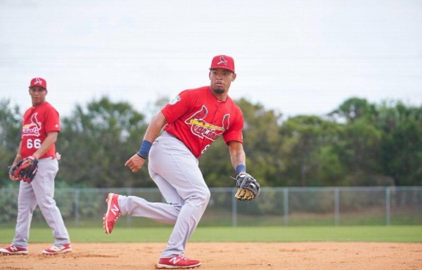 Edmundo Sosa es el prospecto No. 13 de los Cardenales de San Luis y está invitado a los entrenamientos de primavera.