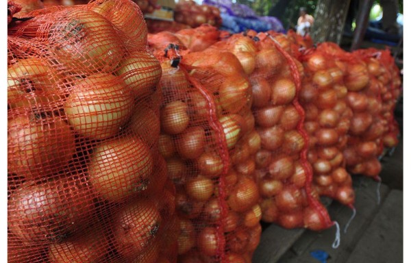 Cebollas mantendrán su precio, aseguró Arango.