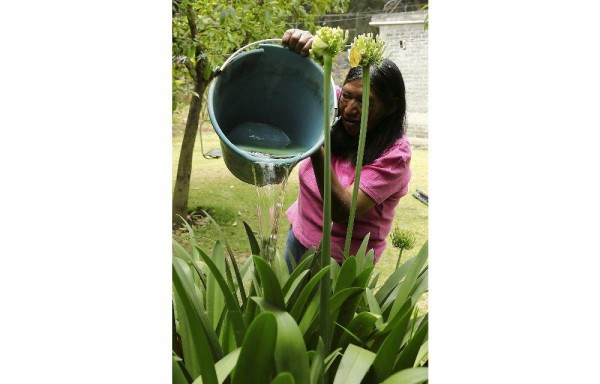 Ahora se puede regar los nopales, que luego vende.