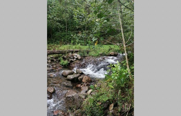En la zona hay variados riachuelos y cascadas