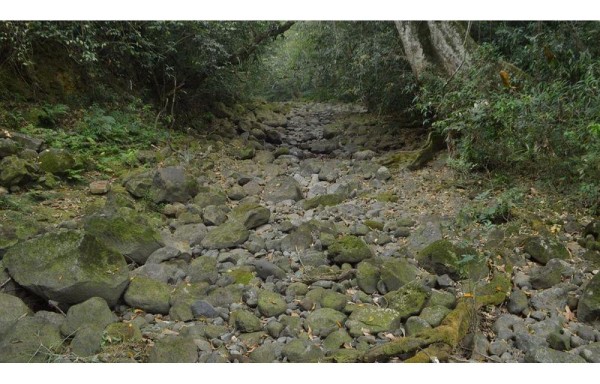 La tierra se tragó un río en Veracruz