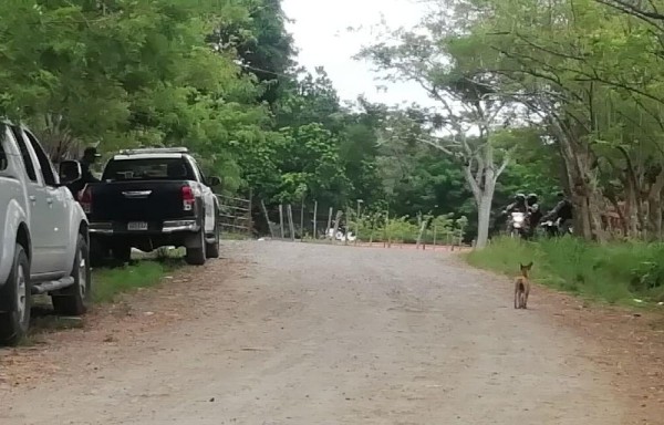Se iniciaron las pesquisas
