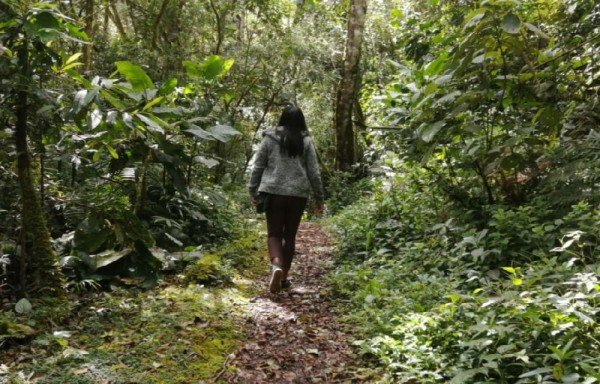 Una parte del trayecto de los senderos es terreno plano.
