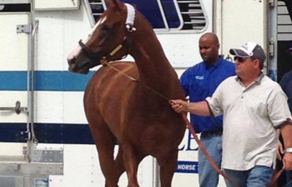 ‘California Chrome’ es el favorito de la prueba.