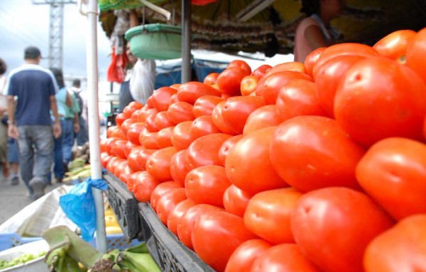 En Centroamérica se producen 20 toneladas de tomate.