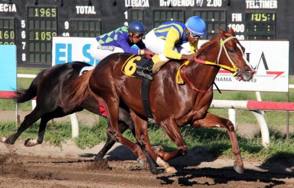 ‘Salustio' ha ganado en dos ocasiones el Invitacional en 2013 y 2015 va por su tercera victoria.