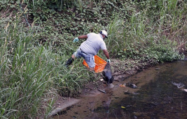 Mujer fue desmembrada.