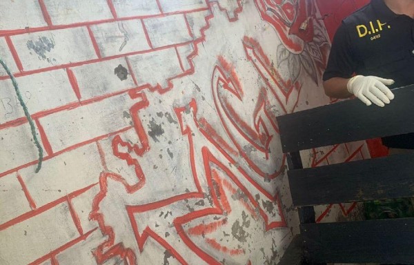 Hasta grafitis había en la celda