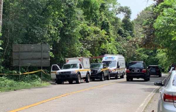 El hallazgo se produjo el domingo
