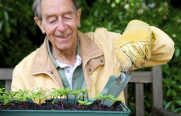 La jardinería mantiene activo el cerebro de los mayores