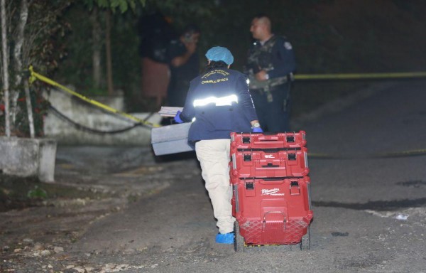 Los gatilleros llegaron en un vehículo negro e ingresaron a la vivienda.