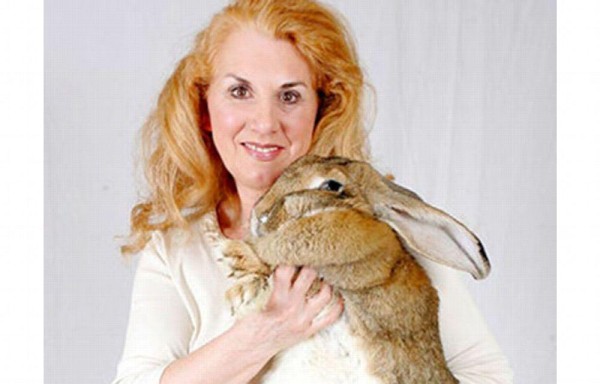 Fallece Simon, conejo aspirante a récord