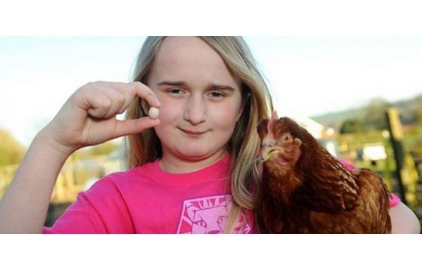 El huevo de gallina más chico del mundo